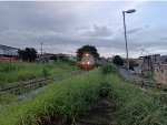 VLI 8688